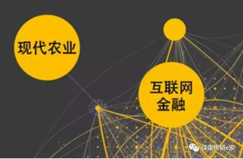 互聯網+農產品業態 ?？倒╀N社以“五有”模式助力鄉村振興